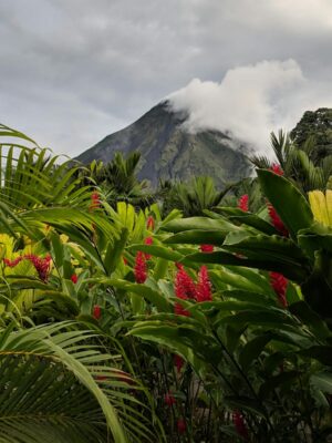 Scenic view of Arenal Volcano surrounded by vibrant rainforest and tropical flora in Costa Rica.